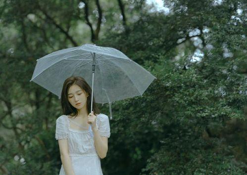 吃瓜视频手撕网红,吃瓜视频手撕网红事件深度剖析