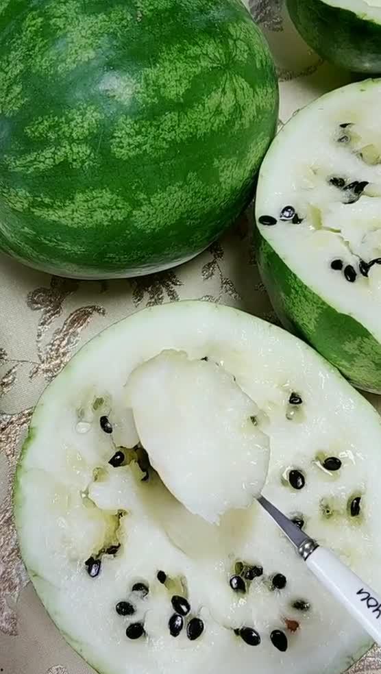 网红东北吃瓜最新视频