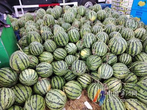 宁波吃瓜网,揭秘宁波美食圈那些事儿