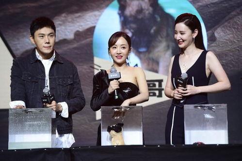 娱乐圈吃瓜主页,揭秘明星背后的故事与真相